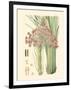 Floral Passion III-Samuel Curtis-Framed Art Print