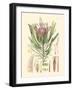 Floral Passion IV-Samuel Curtis-Framed Art Print