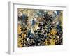 Floral Pattern Blues Yellows Black-Bee Sturgis-Framed Art Print