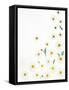 Floral Pattern on White Surface-null-Framed Stretched Canvas
