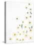 Floral Pattern on White Surface-null-Stretched Canvas