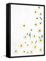 Floral Pattern on White Surface-null-Framed Stretched Canvas