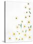 Floral Pattern on White Surface-null-Stretched Canvas