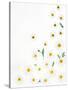 Floral Pattern on White Surface-null-Stretched Canvas