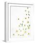 Floral Pattern on White Surface-null-Framed Photographic Print