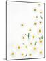Floral Pattern on White Surface-null-Mounted Photographic Print