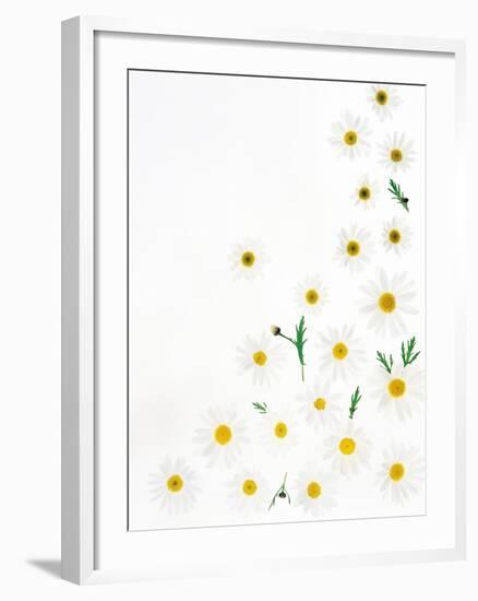 Floral Pattern on White Surface-null-Framed Photographic Print