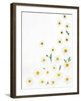 Floral Pattern on White Surface-null-Framed Photographic Print