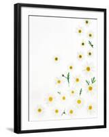 Floral Pattern on White Surface-null-Framed Photographic Print