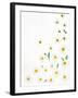 Floral Pattern on White Surface-null-Framed Photographic Print