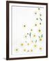 Floral Pattern on White Surface-null-Framed Photographic Print