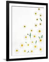 Floral Pattern on White Surface-null-Framed Photographic Print