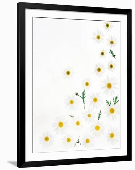 Floral Pattern on White Surface-null-Framed Photographic Print