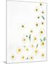 Floral Pattern on White Surface-null-Mounted Photographic Print