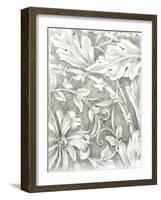 Floral Pattern Sketch IV-Ethan Harper-Framed Art Print