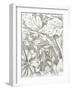 Floral Pattern Sketch IV-Ethan Harper-Framed Art Print