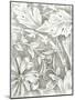 Floral Pattern Sketch IV-Ethan Harper-Mounted Art Print