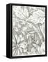 Floral Pattern Sketch IV-Ethan Harper-Framed Stretched Canvas