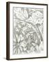 Floral Pattern Sketch IV-Ethan Harper-Framed Art Print