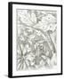 Floral Pattern Sketch IV-Ethan Harper-Framed Art Print