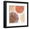 Floral Pattern VII-Irena Orlov-Framed Art Print