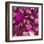 Floral Pattern with Magnolia Flowers-Lola Tsvetaeva-Framed Art Print