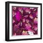 Floral Pattern with Magnolia Flowers-Lola Tsvetaeva-Framed Art Print