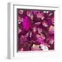 Floral Pattern with Magnolia Flowers-Lola Tsvetaeva-Framed Art Print