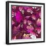 Floral Pattern with Magnolia Flowers-Lola Tsvetaeva-Framed Art Print