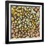 Floral Pattern-Rouz-Framed Art Print