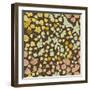 Floral Pattern-Rouz-Framed Art Print