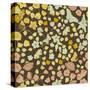 Floral Pattern-Rouz-Stretched Canvas