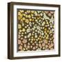 Floral Pattern-Rouz-Framed Art Print