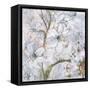 Floral Pearls I-James Nocito-Framed Stretched Canvas