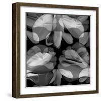 Floral Petals Upon Petals-Winfred Evers-Framed Photographic Print