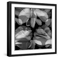 Floral Petals Upon Petals-Winfred Evers-Framed Photographic Print