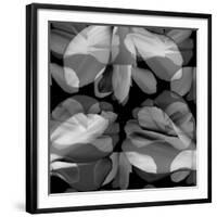 Floral Petals Upon Petals-Winfred Evers-Framed Photographic Print