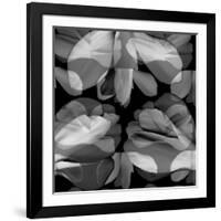 Floral Petals Upon Petals-Winfred Evers-Framed Photographic Print