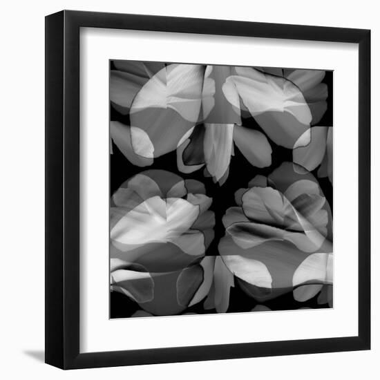 Floral Petals Upon Petals-Winfred Evers-Framed Premium Photographic Print