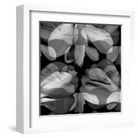 Floral Petals Upon Petals-Winfred Evers-Framed Premium Photographic Print