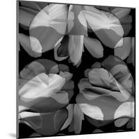 Floral Petals Upon Petals-Winfred Evers-Mounted Premium Photographic Print