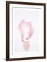 Floral Pirouette-Paige Craig-Framed Limited Edition