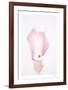 Floral Pirouette-Paige Craig-Framed Limited Edition