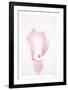 Floral Pirouette-Paige Craig-Framed Limited Edition