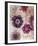 Floral Poetry I-Belle Poesia-Framed Giclee Print