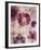 Floral Poetry II-Belle Poesia-Framed Giclee Print