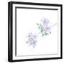 Floral Polka-Jacob Berghoef-Framed Photographic Print