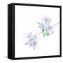 Floral Polka-Jacob Berghoef-Framed Stretched Canvas