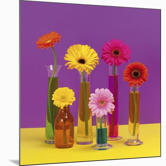 Floral Pop I-Camille Soulayrol-Mounted Giclee Print