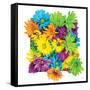 Floral Pop I-Donnie Quillen-Framed Stretched Canvas